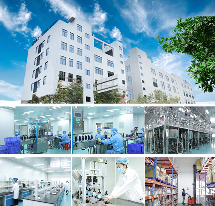 Shampoo ya Nywele ya Kurutubisha ya Hischer na Seti ya Kiyoyozi – Kuimarisha na Kunyonya Nywele Matunzo (12)